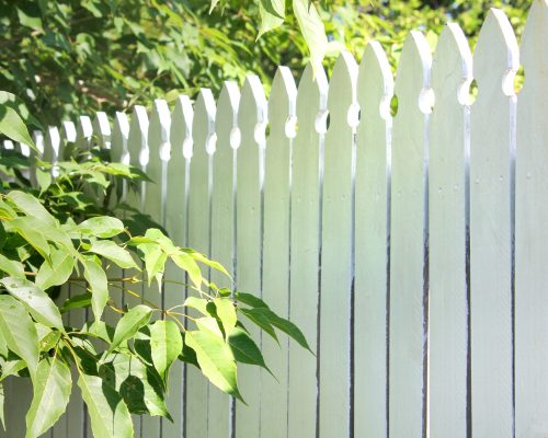 white-picket-fence-in-the-garden-2021-08-30-06-37-42-utc